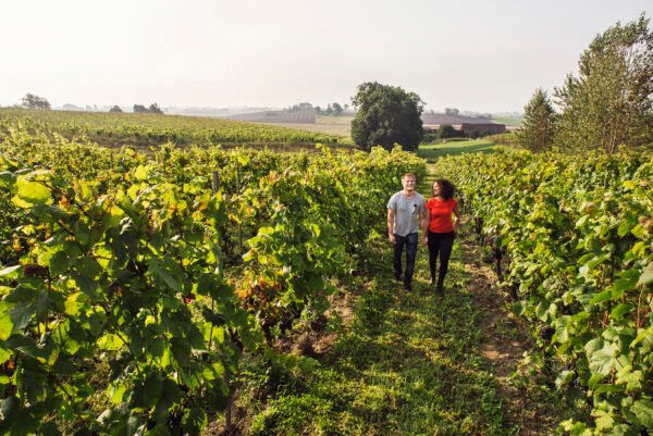 Wine Tour – Bourgogne – Image 2
