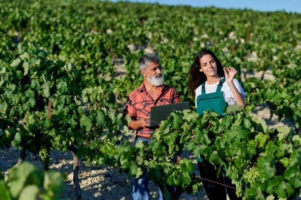 Wine Tour – Ain – Image 2