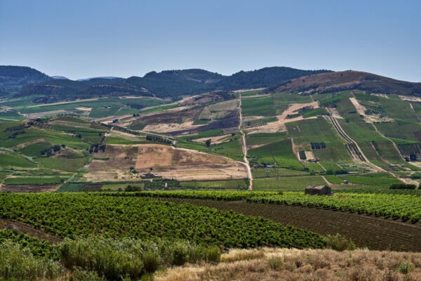 Wine Tour – Ain – Image 4